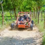 Punta Cana: Macao Buggy Tour - Who Would Love This Experience?
