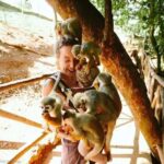 Punta Cana: Monkey Land Tour with Hotel Pickup - Why This Tour Offers Real Value