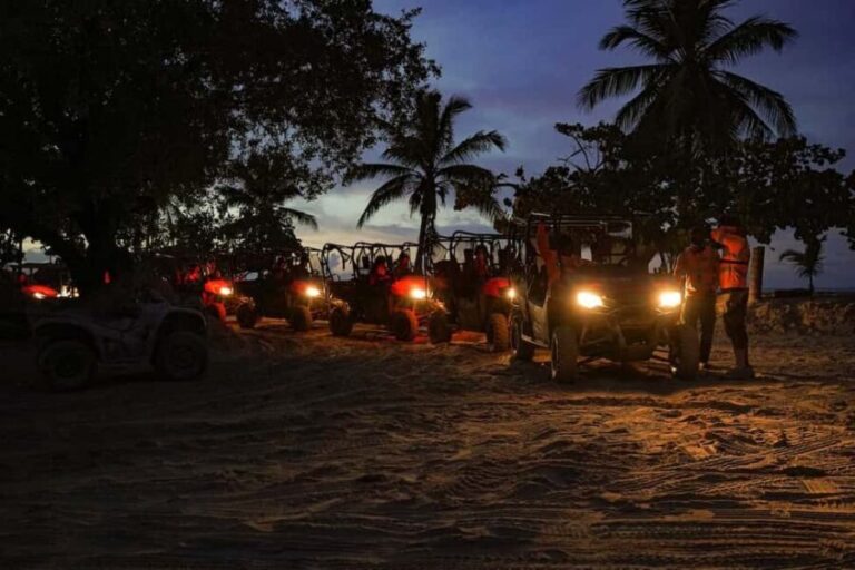 Punta Cana: Nightfall Buggies Tour & Carnival Show - Practical Details and Tips for a Smooth Experience