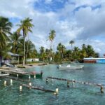 Punta Cana: Private Catalina Island Snorkeling Trip with - What Sets This Tour Apart?