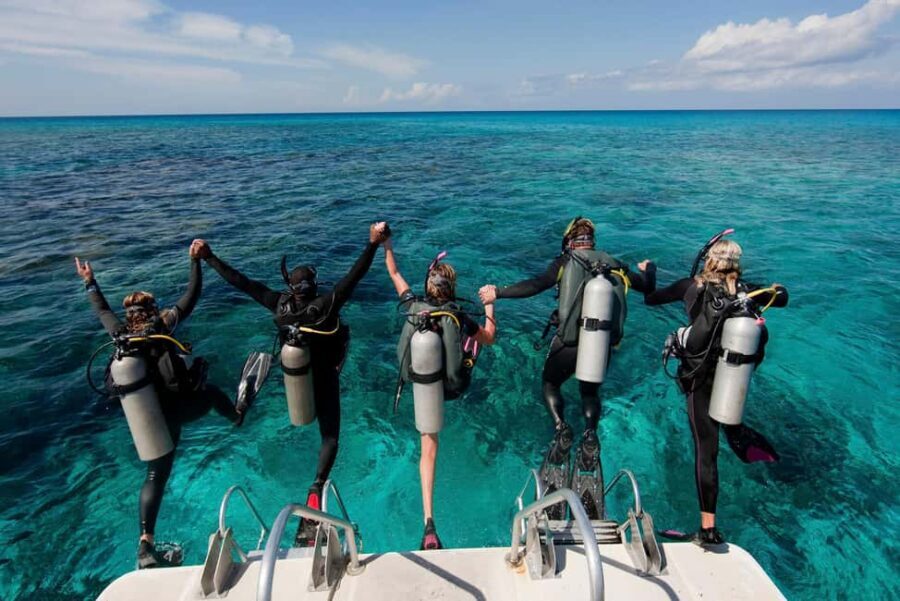 Punta Cana: Reef Diving Adventure Explore Underwater Wonders - Authentic Insights from Past Participants