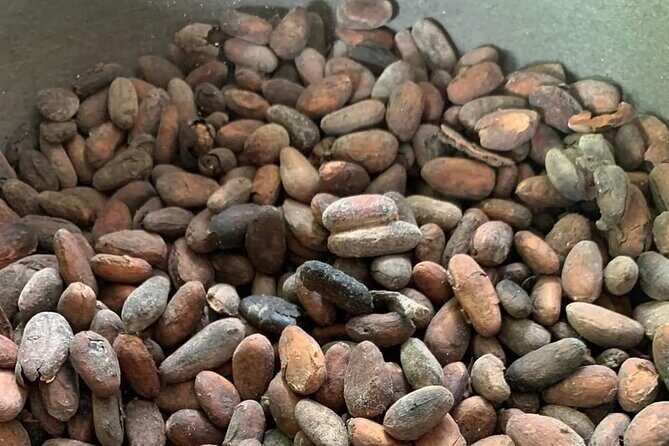 Punta Cana Safari Tour - Who Will Love This Tour?