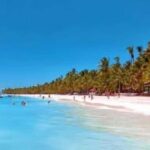 Punta Cana: Saona Island Day Trip with Lobster Lunch - An In-Depth Look at the Saona Island Day Trip