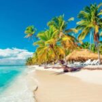 Punta Cana :Saona Island Paradise full-Day Escape - An In-Depth Look at the Saona Island Full-Day Tour
