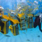Punta Cana: Scoba Doo Discover the Underwater Wonders - The Experience Breakdown