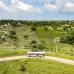 Punta Cana: Xploration Animal Park Entry with Activities - The Itinerary Breakdown: What You’ll Encounter
