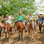 Punta Canas Best Sunset Horse Ride - What to Expect from the Tour
