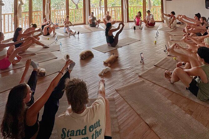 Puppy Yoga Bali, Uluwatu - 1 Thing to Do in Bali - The Real Value: What Makes This Tour Stand Out?