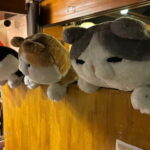 Purrrrfect Osaka Cook'n'eats - What You Can Expect from the Tour