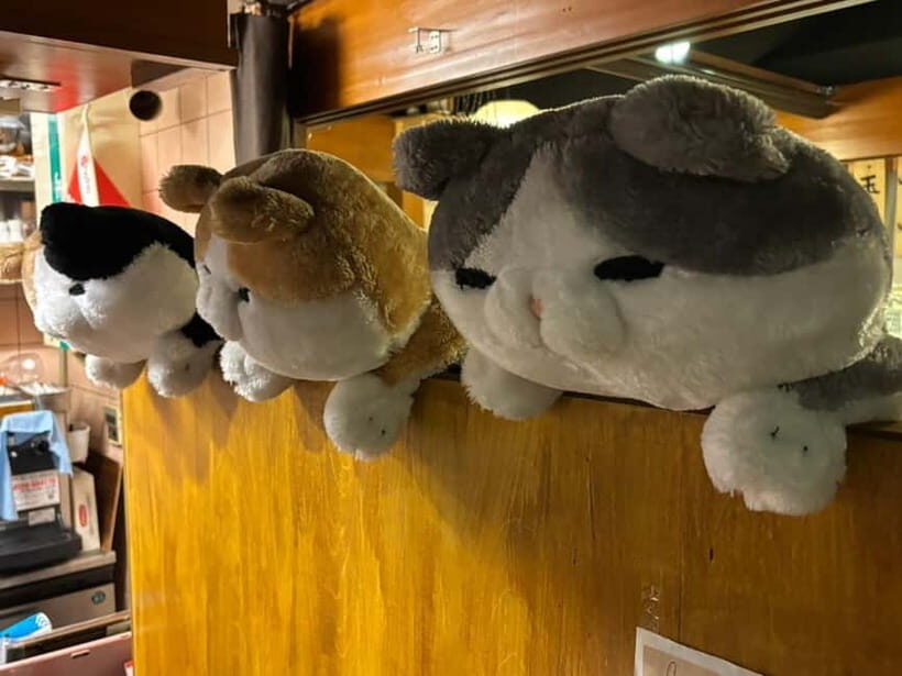 Purrrrfect Osaka Cook'n'eats - What You Can Expect from the Tour