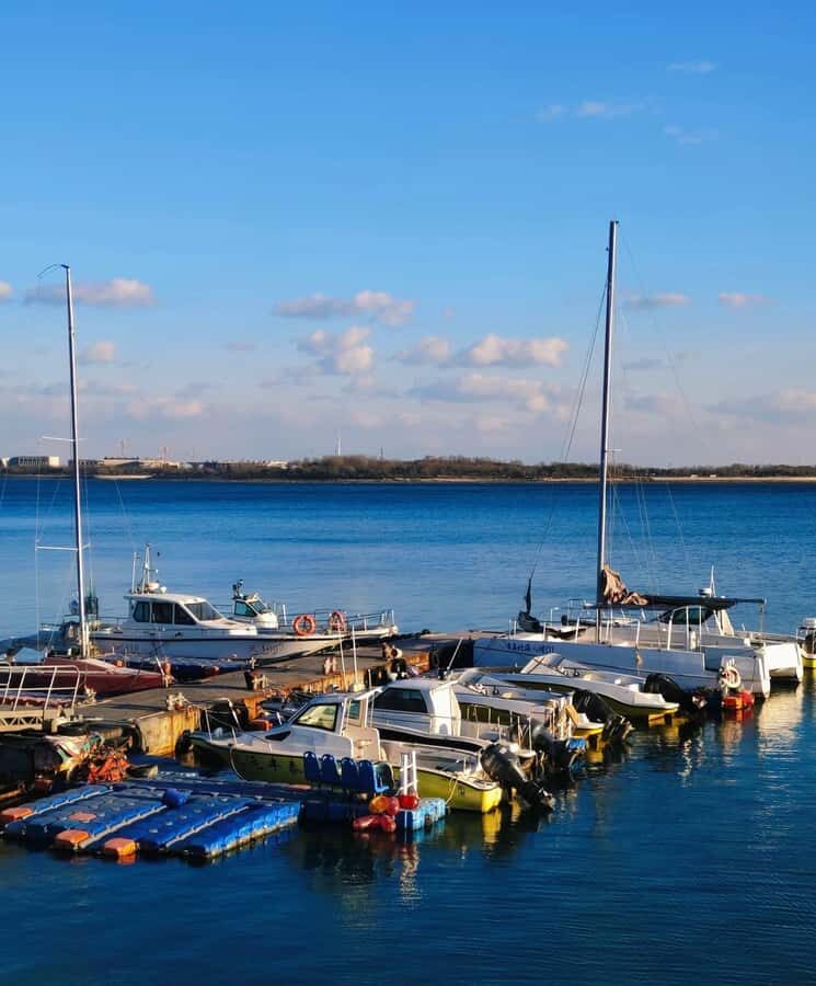 Qingdao West Coast Art, Culture & Coastal Adventure Day Tour - The Sum Up