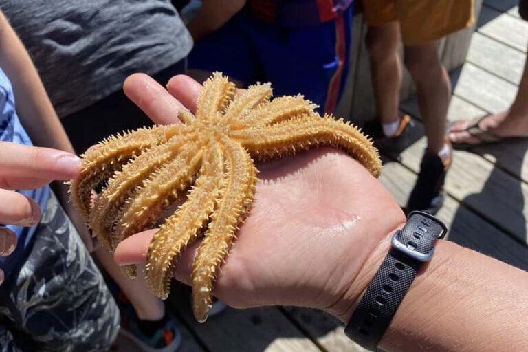 Queen Charlotte Sound: Lochmara Cruise & Explore 9-2.45 - What You Can Do at Lochmara