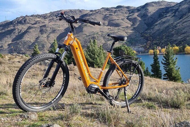 Queenstown and Gibbston Valley E Bike Adventure - Value and Overall Impression