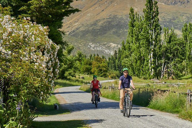 Queenstown Guided E-bike Wine Tour - Authenticities from Reviewer Insights