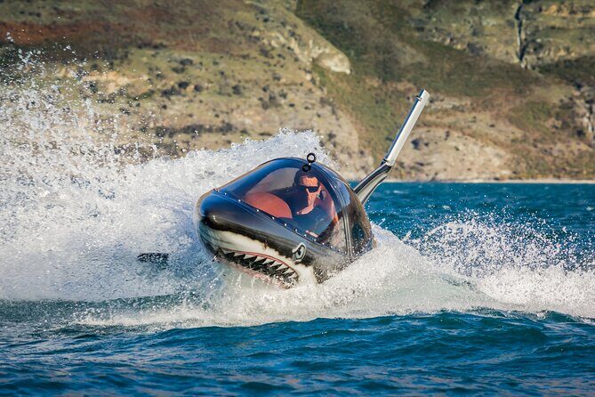 Queenstown Hydro Attack Shark Ride Adventure - Who Is This Tour Perfect For?