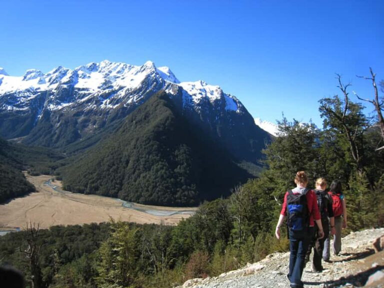Queenstown: Routeburn Track Guided Full-Day Walk or Half Day - The Half-Day Option: A Taste of Wilderness