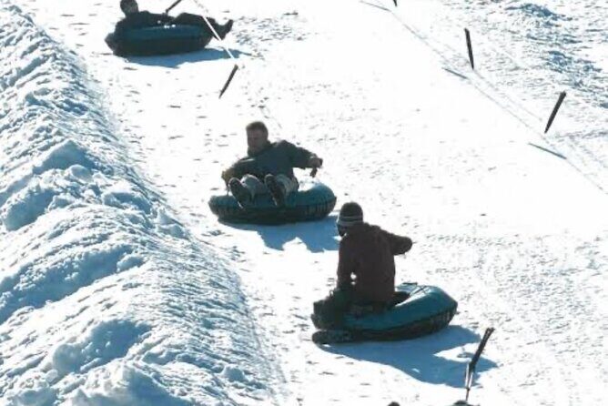 Queenstown to Cardrona Snow Farm Tour - What to Expect from the Transport & Logistics