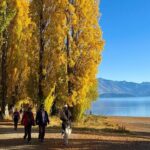 Queenstown to Wanaka Small-Group Tour (one-way) - Authentic Traveler Insights