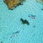 Quokkas Delight Rottnest Island - The Value and Practicalities of the Tour