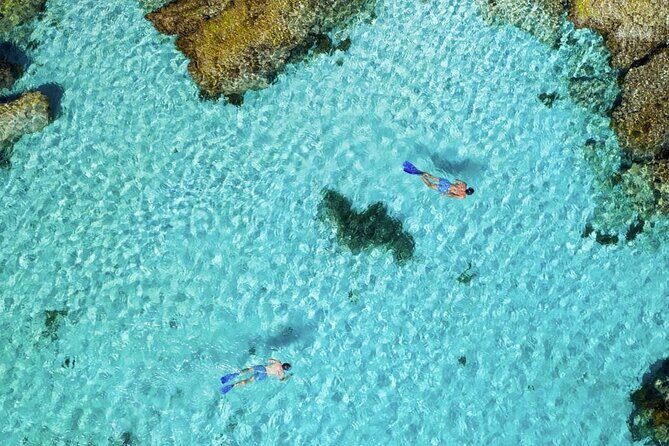 Quokkas Delight Rottnest Island - The Value and Practicalities of the Tour