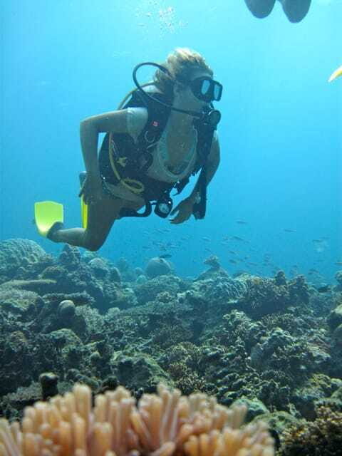 RAID Try-Dive in Kota Kinabalu, Sabah - Why This Tour Offers Great Value