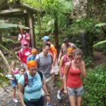 Rainforest Adventure - The Experience: What Makes This Tour Stand Out