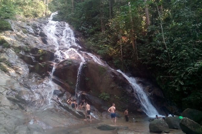 Rainforest-Cascading Waterfall & Batu Cave (Private Tour) - Who Would Love This Tour?