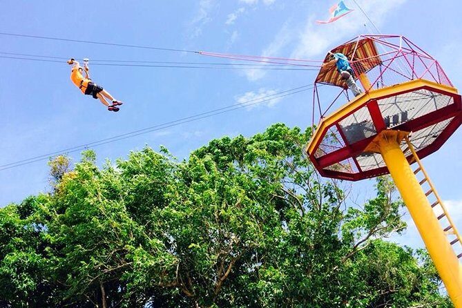 Rainforest Zipline in Foothills of the National Rainforest - Is It Worth The Price?