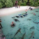 Raja Ampat : 2 Day Blue River(Kali Biru) & Piaynemo Peak - What to Expect: Practical Details