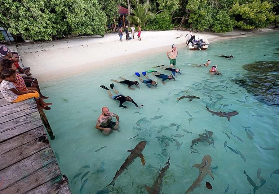 Raja Ampat : 2 Day Blue River(Kali Biru) & Piaynemo Peak - What to Expect: Practical Details