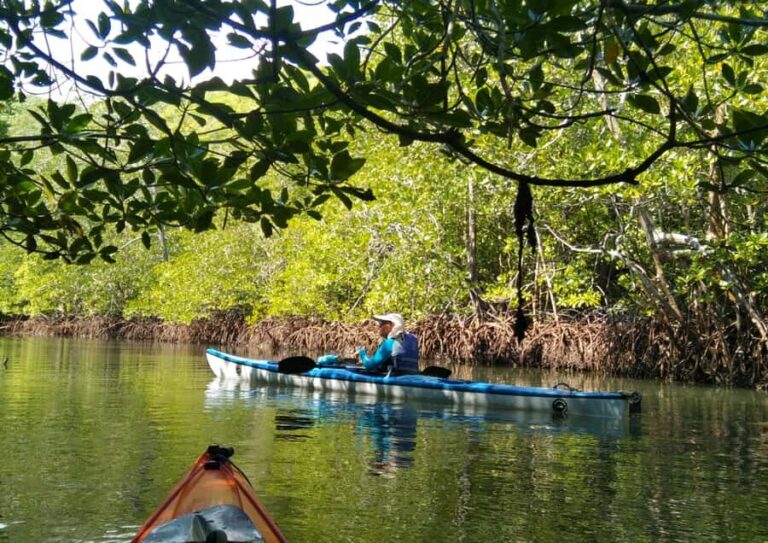Rangko Kayaking Adventure - Why This Tour Offers Great Value