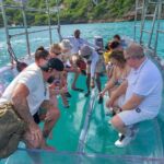 Reef Explorers Transparent Boat and Beach Tour - The Authentic Experience You Can Expect