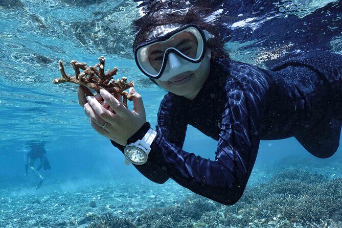 Reef Rehabilitation Course and Snorkeling - The Experience: What to Expect