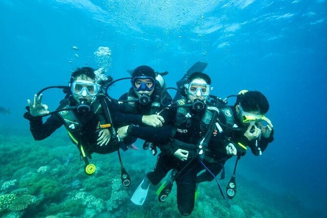 Reef Tour with SCUBA Dive from Cairns, pontoon with activities - What Travelers Say: Authentic Insights