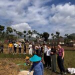 Rice Fields, Coffee plantation, White Crater, & Hot Springs - Practical Details and Tips for Travelers