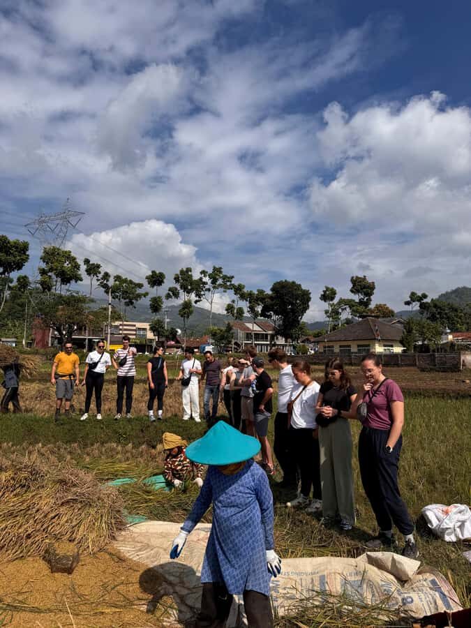 Rice Fields, Coffee plantation, White Crater, & Hot Springs - Practical Details and Tips for Travelers