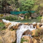 Rishikesh: Kunjapuri Temple Sunrise Trek - Who Will Love This Tour?