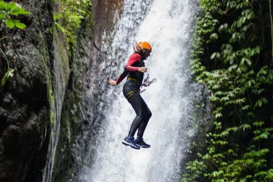 Roseau: Canyoning Discovery Tour - What to Expect on the Tour