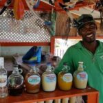 Roseau: Snorkeling and Beach Day with Lunch - Practical Details and Tips