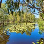 Rossville: Aboriginal Cultural Experience with Mooks - What to Expect from the Rossville Aboriginal Cultural Experience