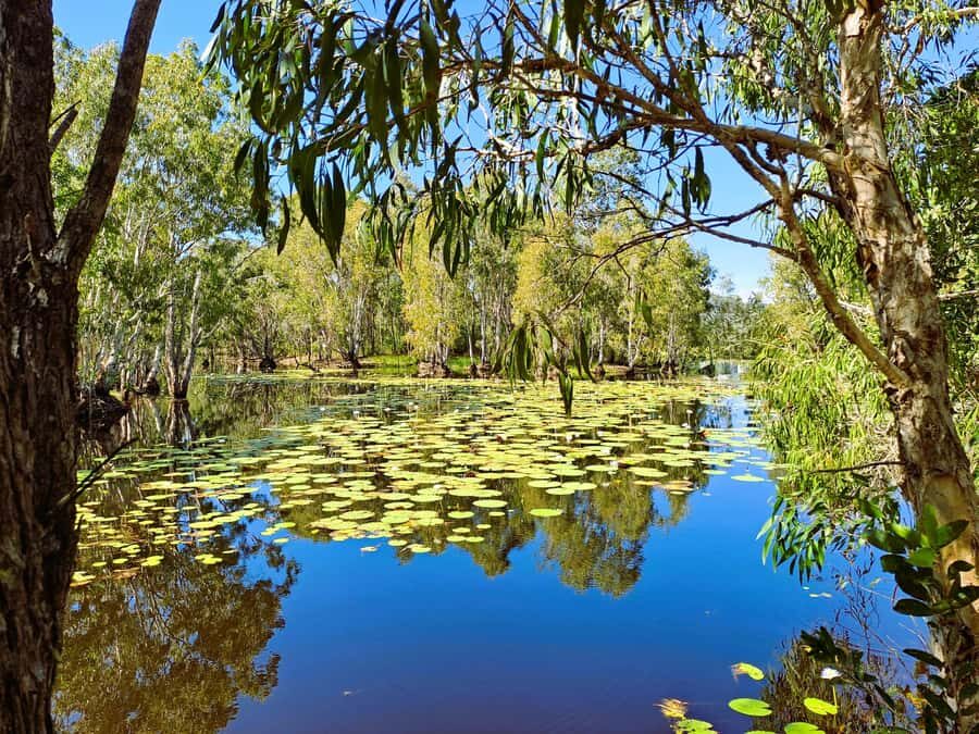 Rossville: Aboriginal Cultural Experience with Mooks - What to Expect from the Rossville Aboriginal Cultural Experience