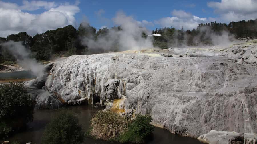 Rotorua: Glowworm Cave, Redwoods Forest & Te Puia Tour - What Makes This Tour Stand Out?