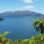 Rotorua Highlights Tour - Who Will Love This Tour?