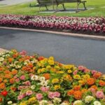 ROTORUA Highlights Tour In A Small Group - Who Will Love This Tour?