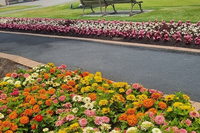 ROTORUA Highlights Tour In A Small Group - Who Will Love This Tour?