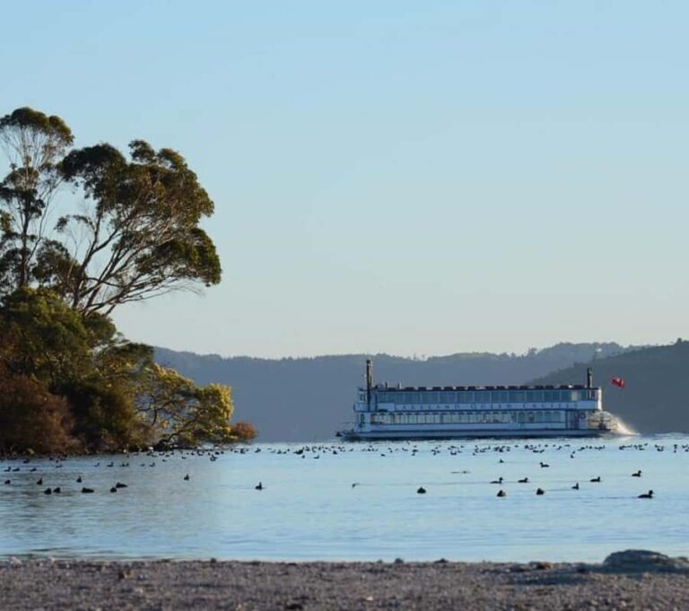 Rotorua: Lake Rotorua Cruise with Buffet Dining Option - Exploring Lake Rotorua: What to Expect
