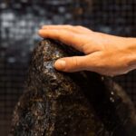 Rotorua: Lakefront Hot Springs & Spa - Luxury Mori Wellness - Who Should Consider This Experience?