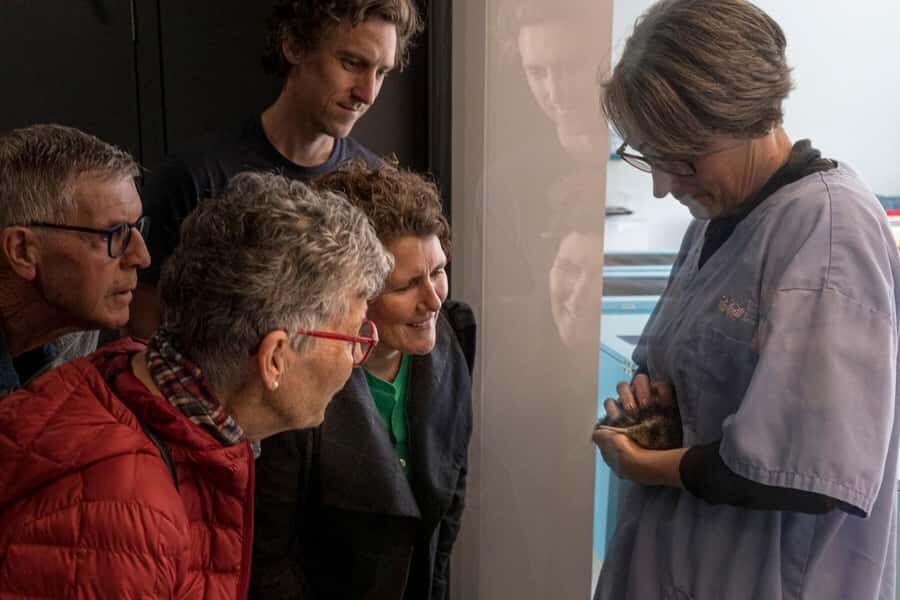 Rotorua: The National Kiwi Hatchery Kiwi Encounter Tour - Good To Know