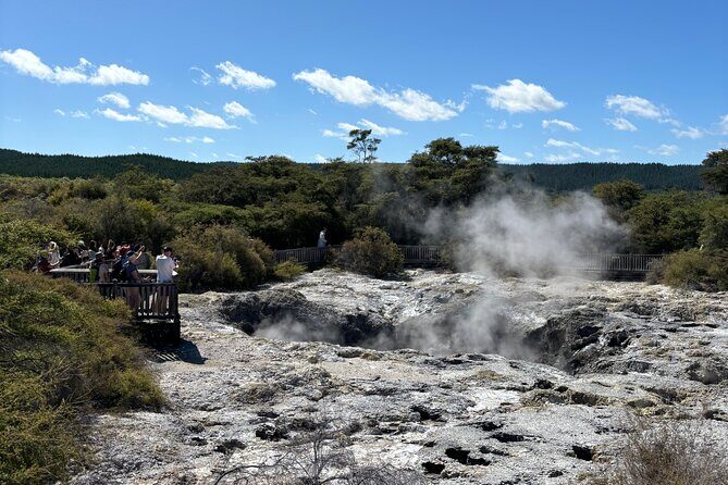 Rotorua: WaiOtapu & Redwood forest & Blues springs from Auckland - Who Is This Tour Best For?