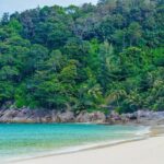 Round Trip Long Tail Boat Service to Freedom Beach - The Destination: Freedom Beach